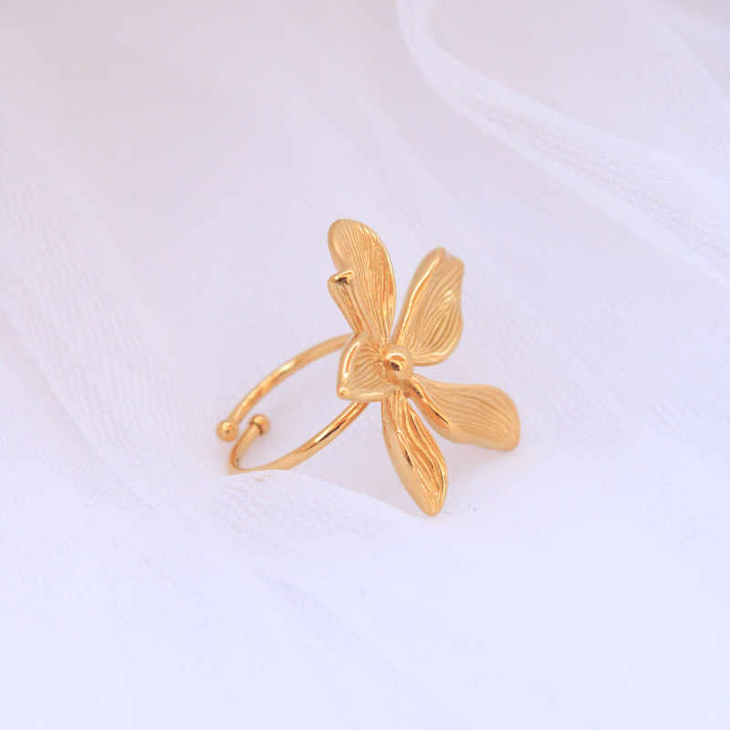 Anillo Terra