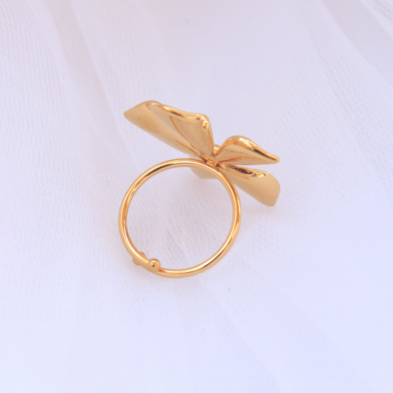 Anillo Terra