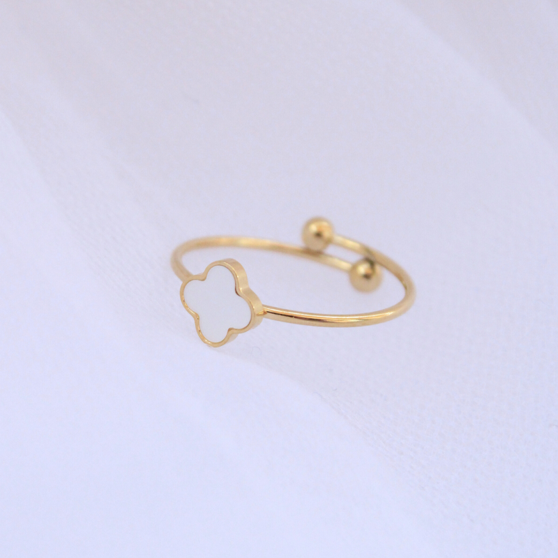 Anillo Cumbre