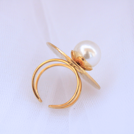Anillo Ascent