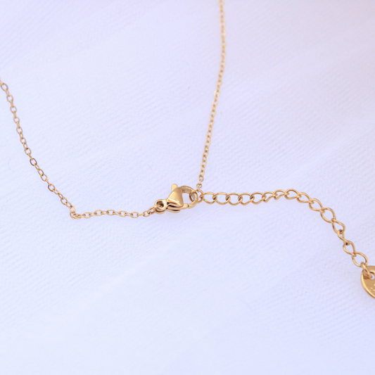 Collar Astra