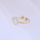 Anillo Cumbre