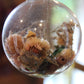 Bola Cristal
