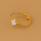 Anillo Cumbre